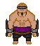 giant furie